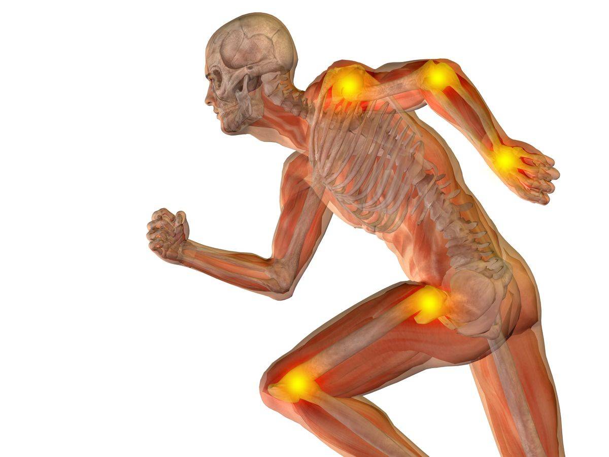 Why Supplement with Collagen?