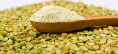 The Best Vegan Protein Powder