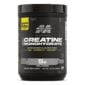 Muscletech, Platinum 100% Creatine, 400 g