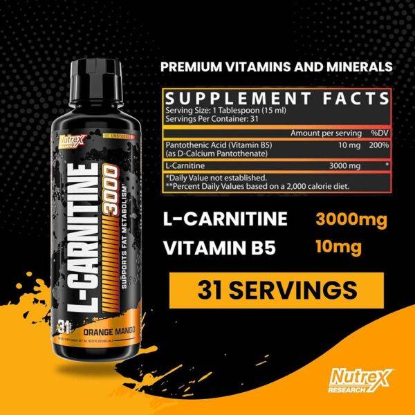 acetyl l carnitine pharmacokinetics The Role of L-Carnitine in Kidney Disease and Related Metabolic Dysfunctions