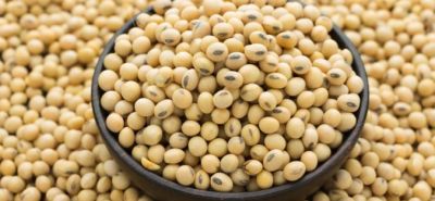 Soy: Good or Bad?