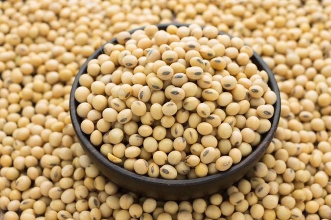 Soy: Good or Bad?
