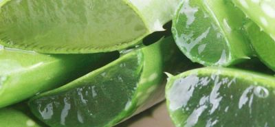 Reasons To Use Aloe Vera On Your Face, Skin & Hair