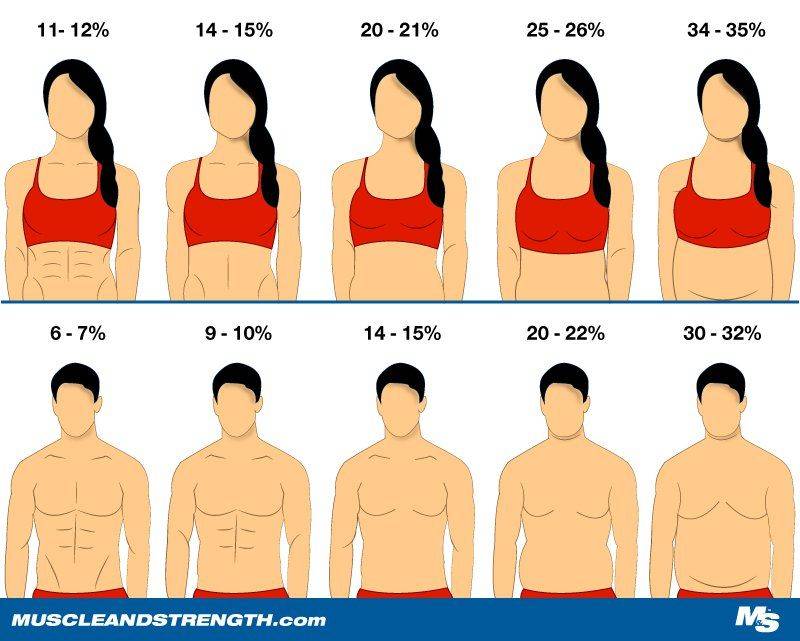 faces at different body fat percentages