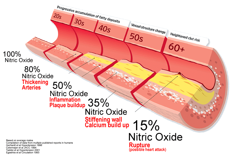 Nitric Oxide (NO) Boosters